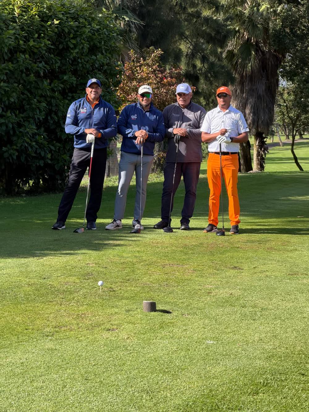 Golfers supporting a Things On Wheels charity golf day